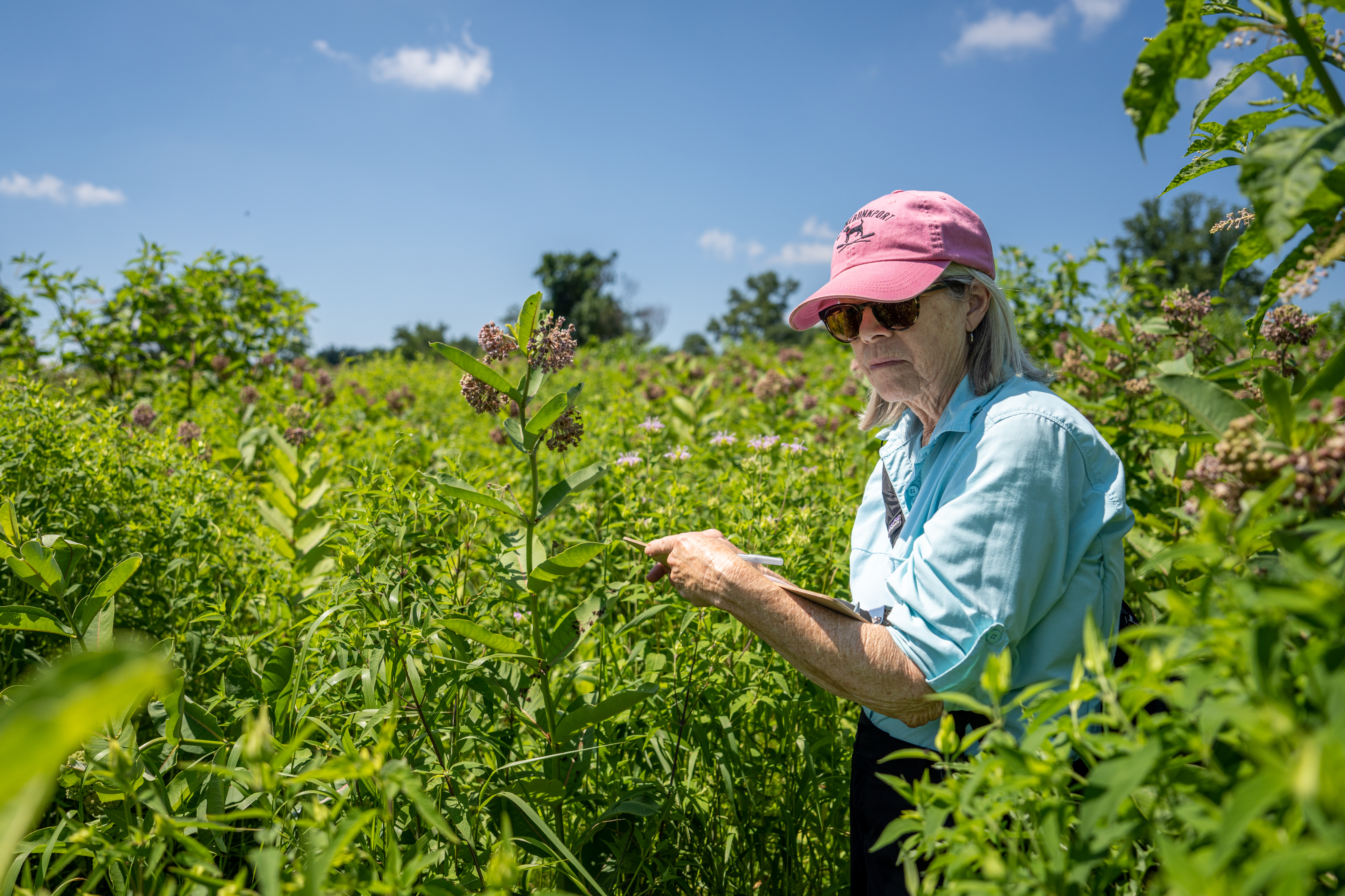 Woman recording data on a clipboard in a wildflower field